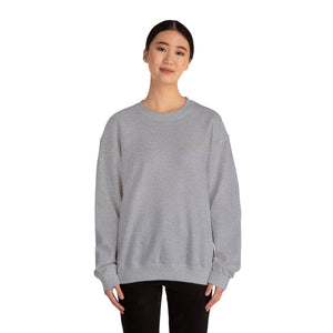 Chicago Coordinates Crewneck Sweatshirt — "Aven Lore" City Pride Pullover